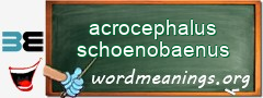 WordMeaning blackboard for acrocephalus schoenobaenus